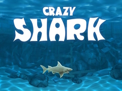Crazy Shark