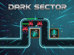 Dark Sector