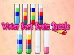 Water Sort Brain Puzzle