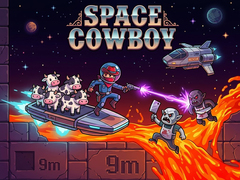 Space Cowboy
