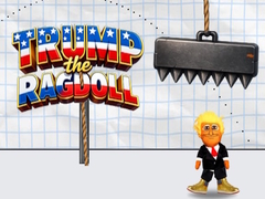 Trump the Ragdoll