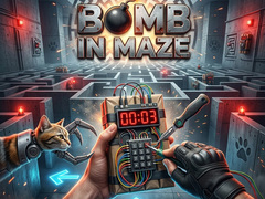 Bomb in Maze