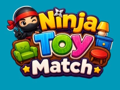 Ninja Toy Match