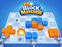 Block Matcher