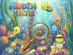 Hidden Turtle