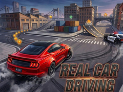 Real Car Driving