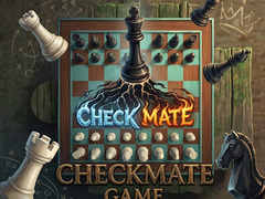 Checkmate Game