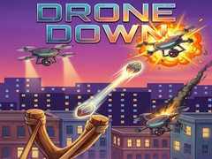 Drone Down