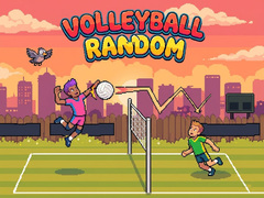 Volleyball Random
