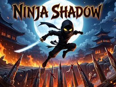Ninja Shadow
