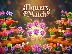 Flowers Match