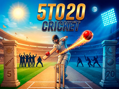 5TO20 Cricket