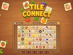Tile Connect Puzzle