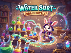 Water Sort Brain Puzzles
