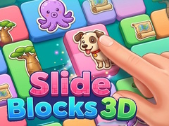 Slide Blocks 3D