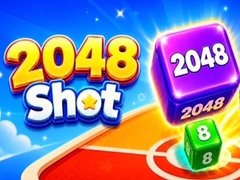 2048 Shot