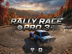 Rally Race Pro 3