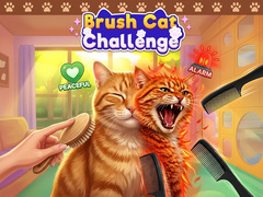 Brush Cat Challenge 