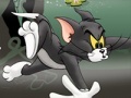 Tom And Jerry Chase In Marsh