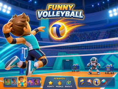 Funny Volleyball