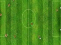 Virtual Football Cup 2010