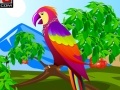 Decor the Cute Parrot