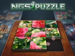 NGS Puzzle
