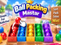 Packing Master Puzzle