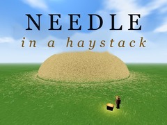 Needle in a Haystack
