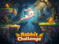 Rabbit Challenge