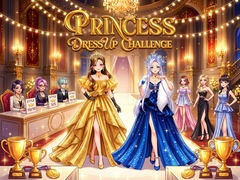 Princess Dress Up Challenge