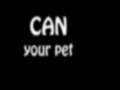 Can Your Pet