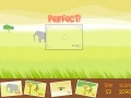 Coconut's Safari
