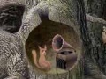 Forest sounds