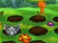 Sisi The Mice Catcher