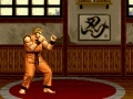 Art of Fighting