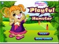 Playful Hamster