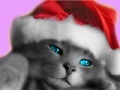Santa Cat Puzzle