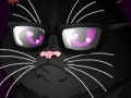 Grumpy Cat