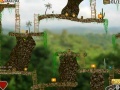 Jungle Treasures