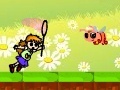 Catch insects