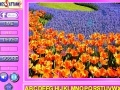 Beauty Flowers Find the Alphabets