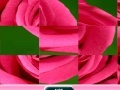 Rose Sliding Puzzle
