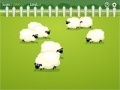 Count the Sheep