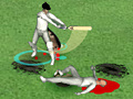 Just Not Cricket