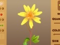 Magic Flower