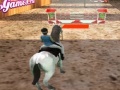 Horse Jumping 3D
