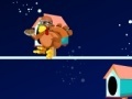 Birds shooting