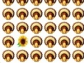 Thanksgiving Day Matching Game