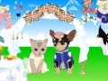 Pet Wedding Dress up